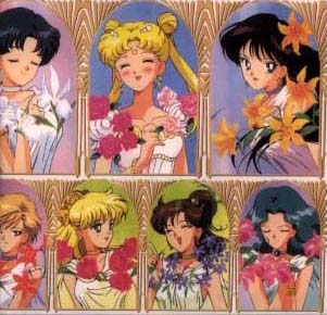 thumbnail of your picture #13